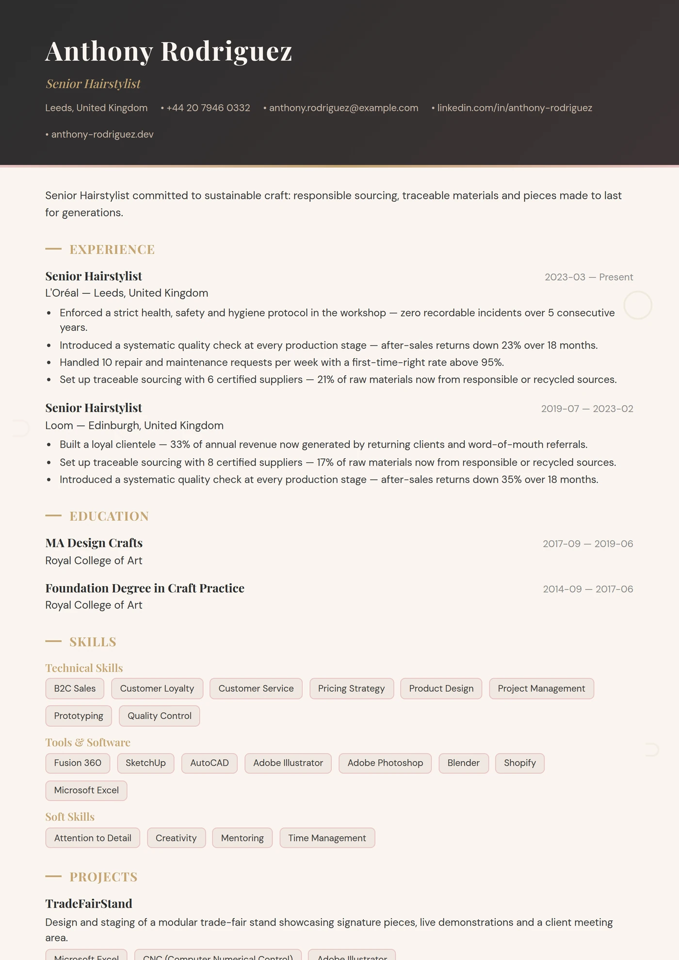 Profession — Hairstylist — CV templates