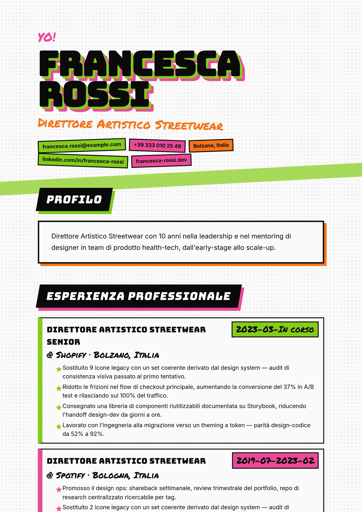 Zine Skate — Modelli di CV